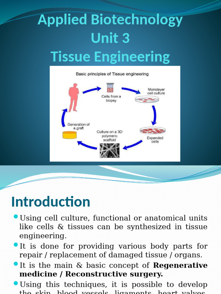 Tissue Engineering Basics and Applications | PDF | Tissue Engineering ...