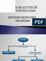 Neuron As