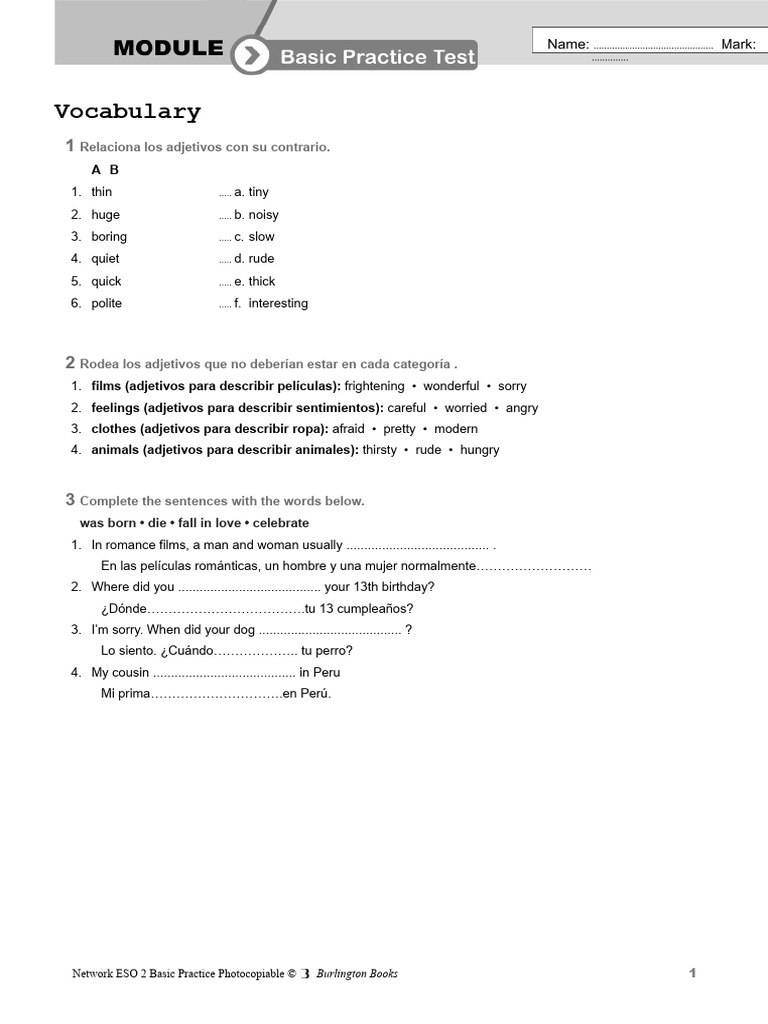Adjective Exercises for Language Learning | PDF