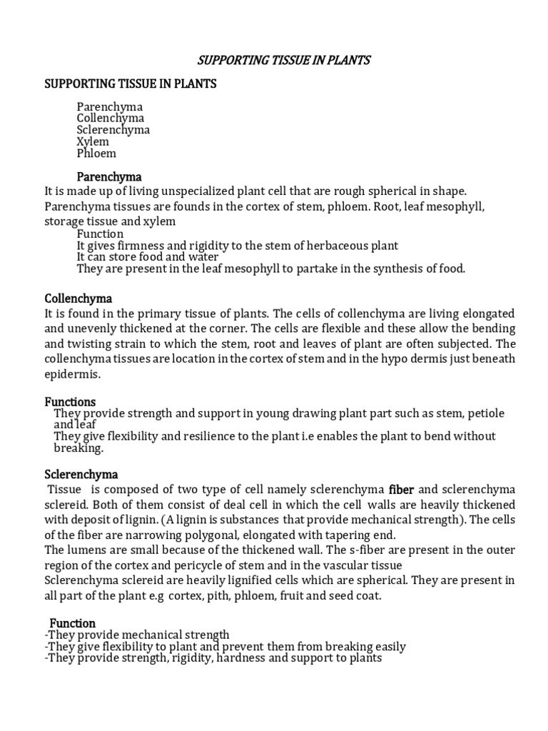 Supporting Tissue in Plant1 | PDF | Plant Stem | Tissue (Biology)