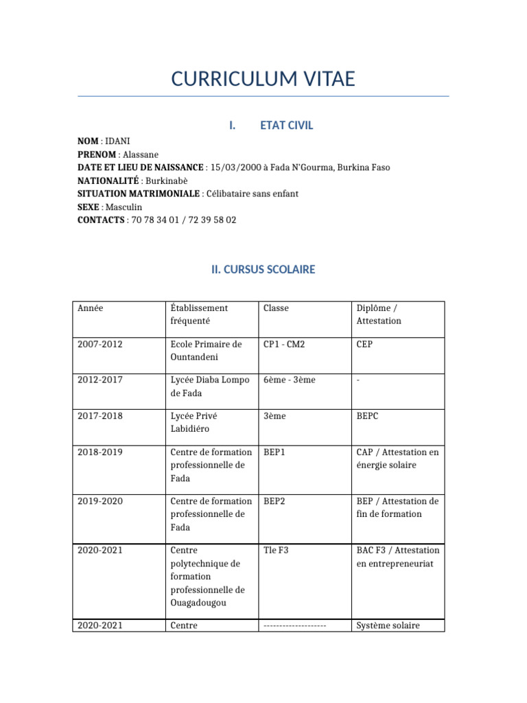 CV d'Alassane Idani - Formation et Compétences | PDF | Niveaux d ...