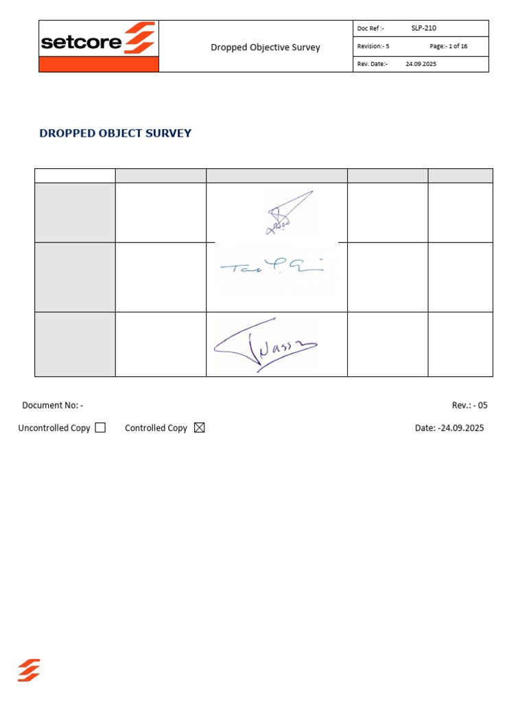 Dropped Object Survey Guidelines | PDF | Screw | Safety