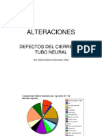 Alteraciones: Defectos Del Cierre Del Tubo Neural