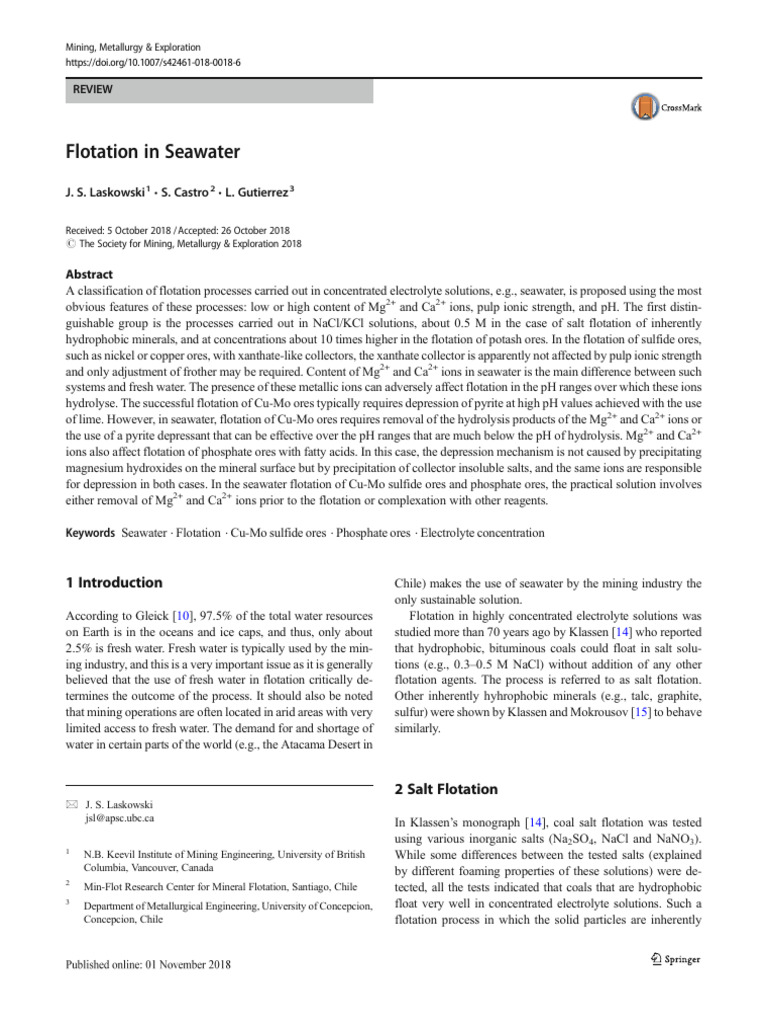 Seawater Flotation Processes Explained | PDF | Magnesium | Ph