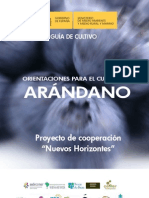 Guia Del Arandano