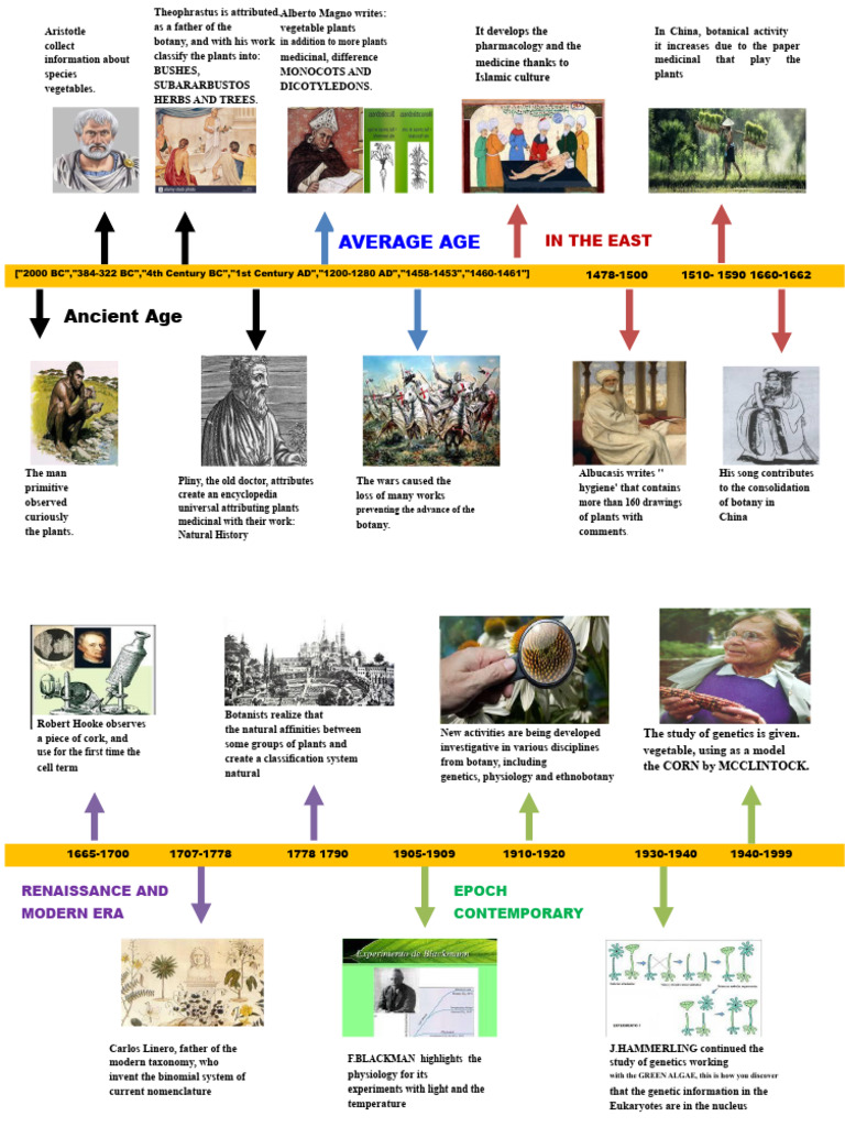 Botanical Timeline | PDF | Botany | Plants