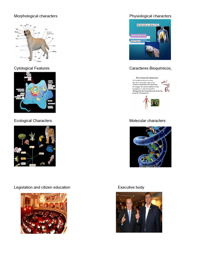 Key Biological and Political Attributes | PDF