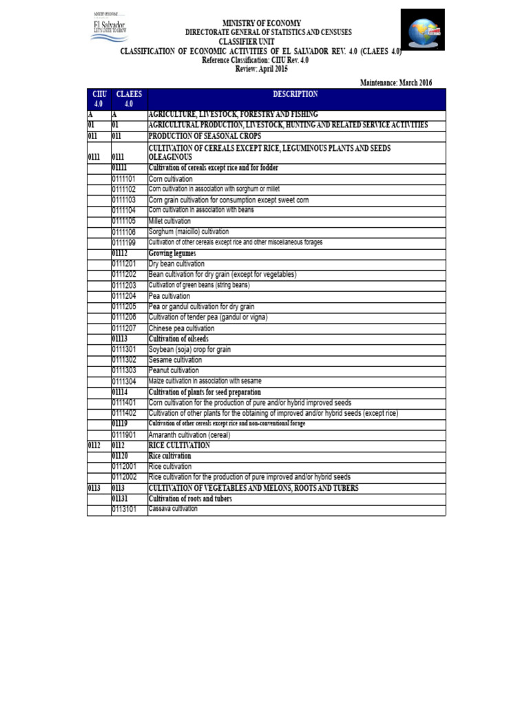 Economic Activities Classification El Salvador | PDF | Textiles | Yarn