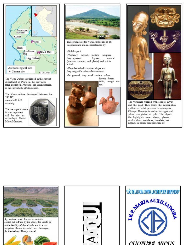 Vicus Culture | PDF