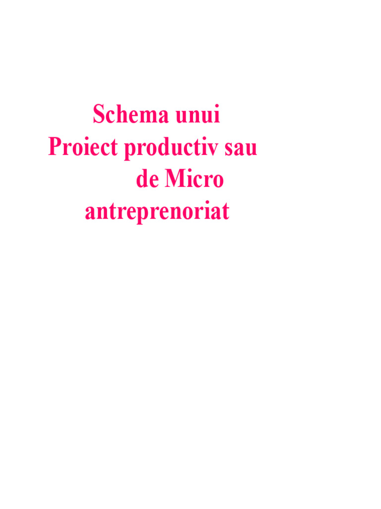 Schema Unui Proiect Productiv Sau de Micro | PDF