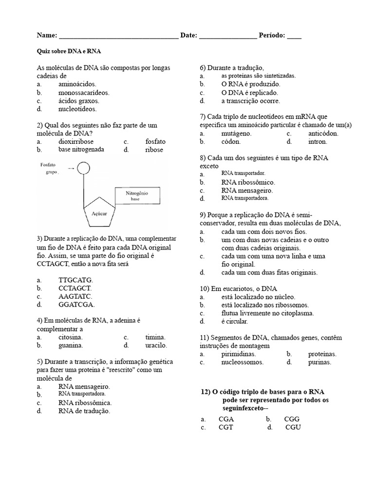 Quiz de DNA e RNA | PDF | RNA | RNA mensageiro