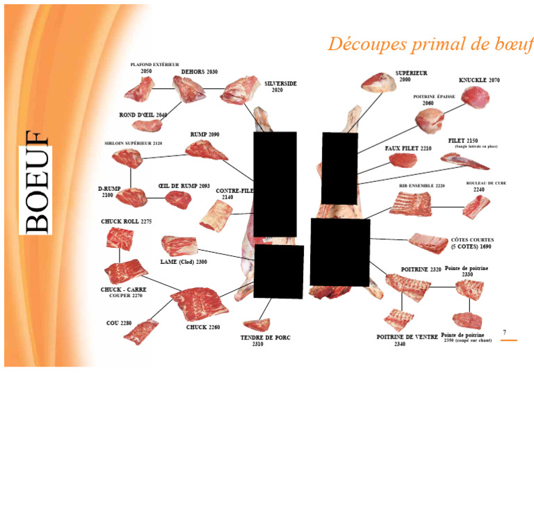 d-coupes-primal-de-b-uf-et-leurs-codes-pdf-b-uf-viande