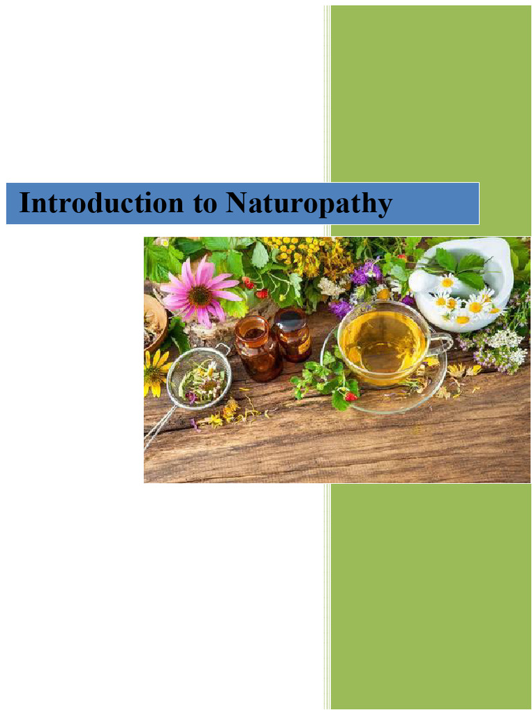 Understanding Naturopathy Principles | PDF | Naturopathy | Alternative ...