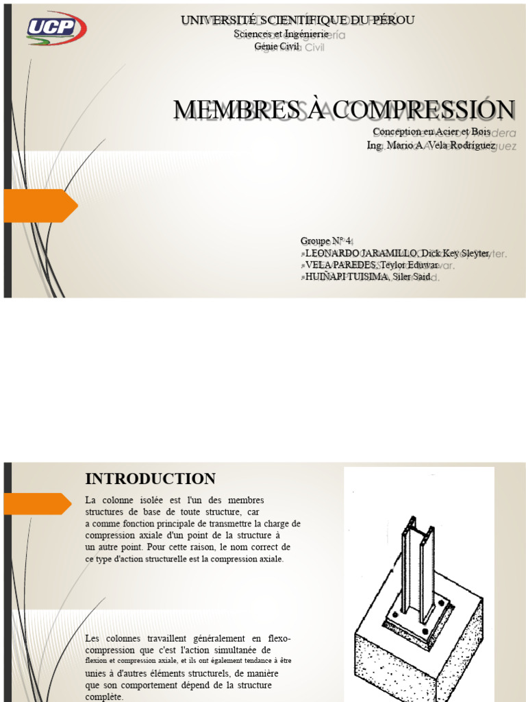 Membres en Compression Axiale en Génie Civil | PDF | Flambage | Mécanique