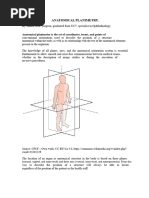 Body Habitus in Radiology Explained | PDF | Abdomen | Vertebral Column