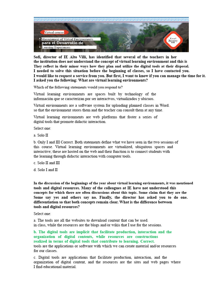 Understanding Virtual Learning Environments | PDF | Learning | Cognition