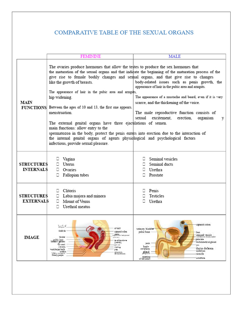 Comparative Analysis of Sexual Organs | PDF