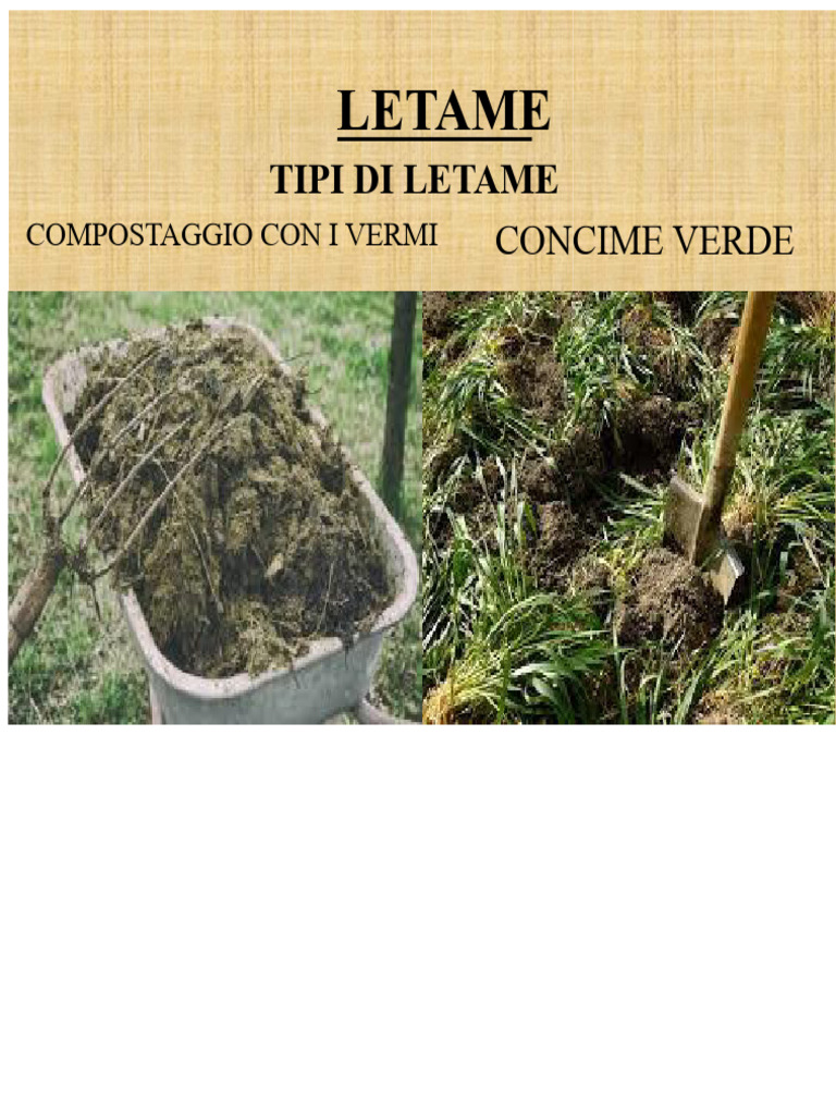 Presentazione Del Letame | PDF