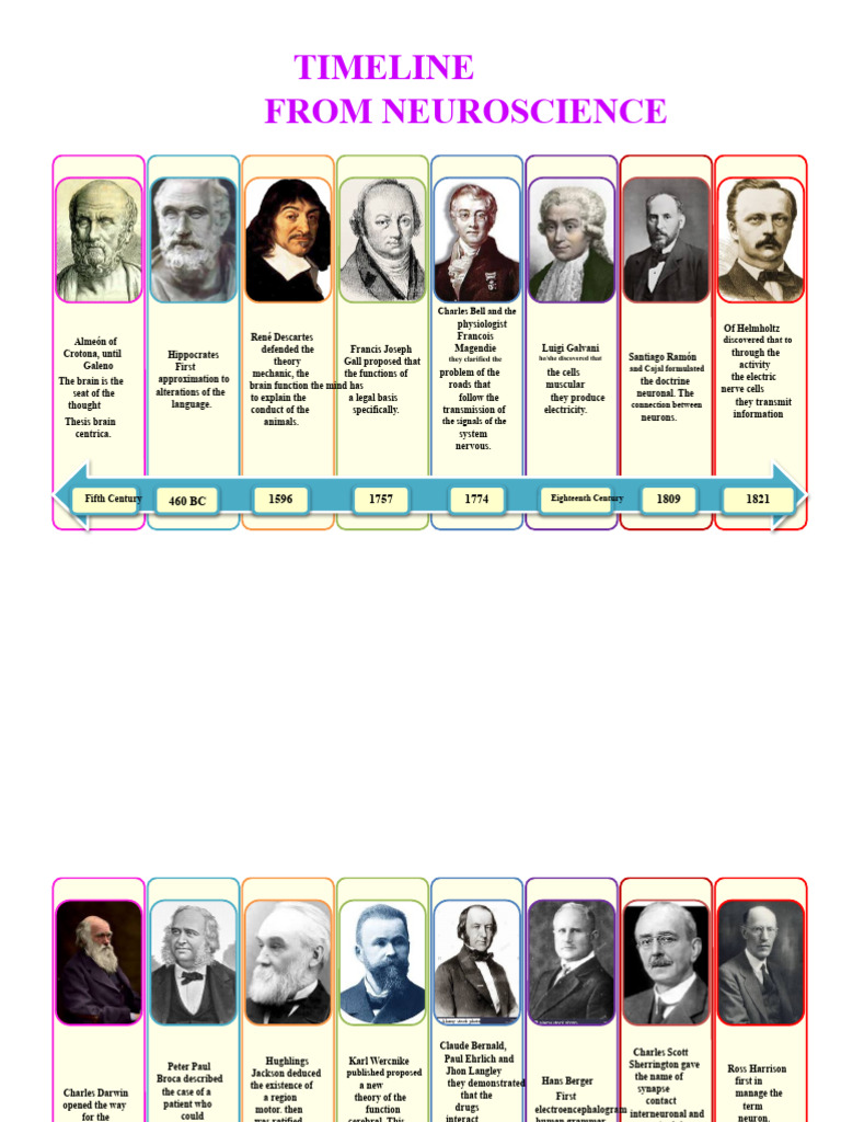 Neuroscience Milestones Timeline | PDF | Neuroscience | Physiology