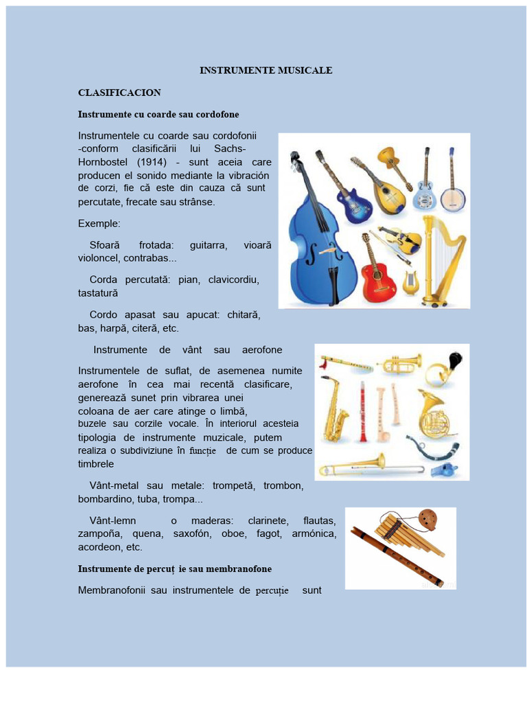Instrumente Muzicale | PDF