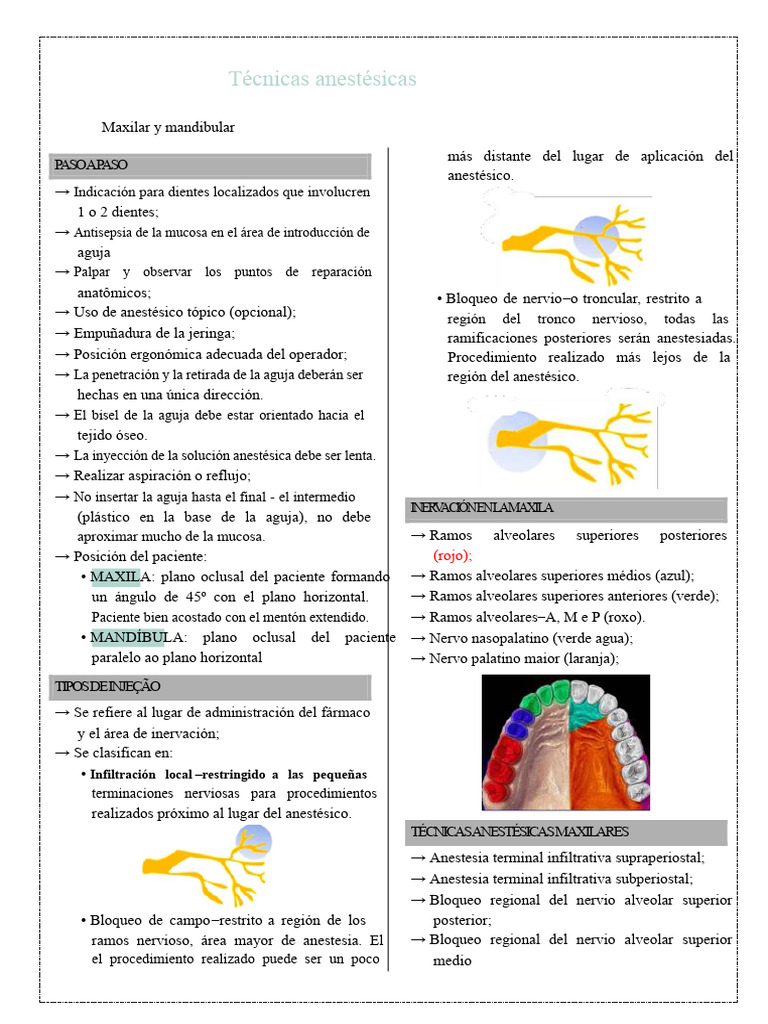 Técnicas de Anestesia Dental Maxilar y Mandibular | PDF | Inyección ...
