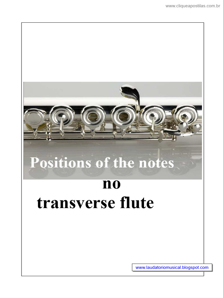 Transverse Flute Note Positions Guide | PDF | Hand | Finger