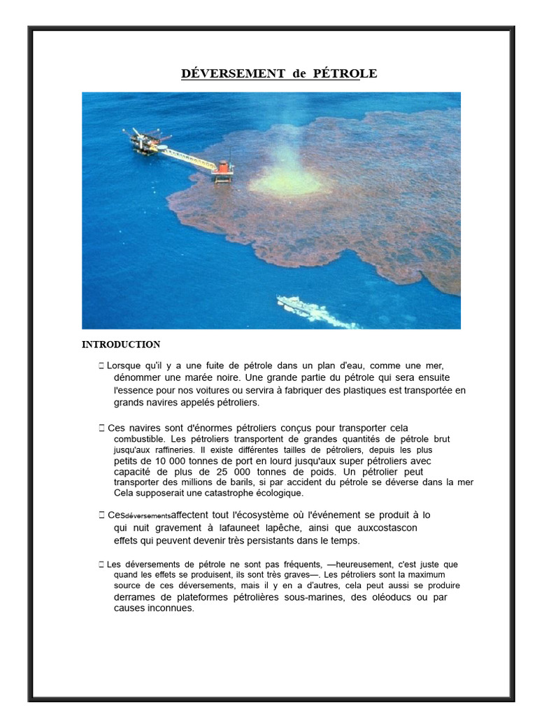 Impact des déversements de pétrole sur l'environnement | PDF | Pétrole ...