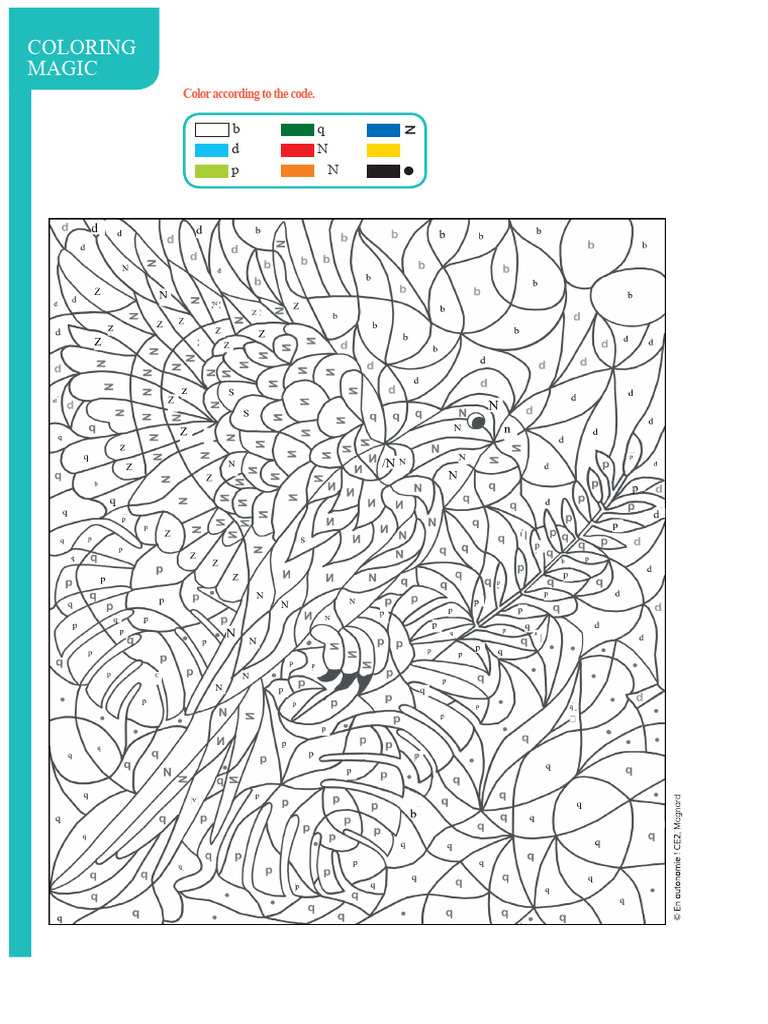 Magic Coloring | PDF