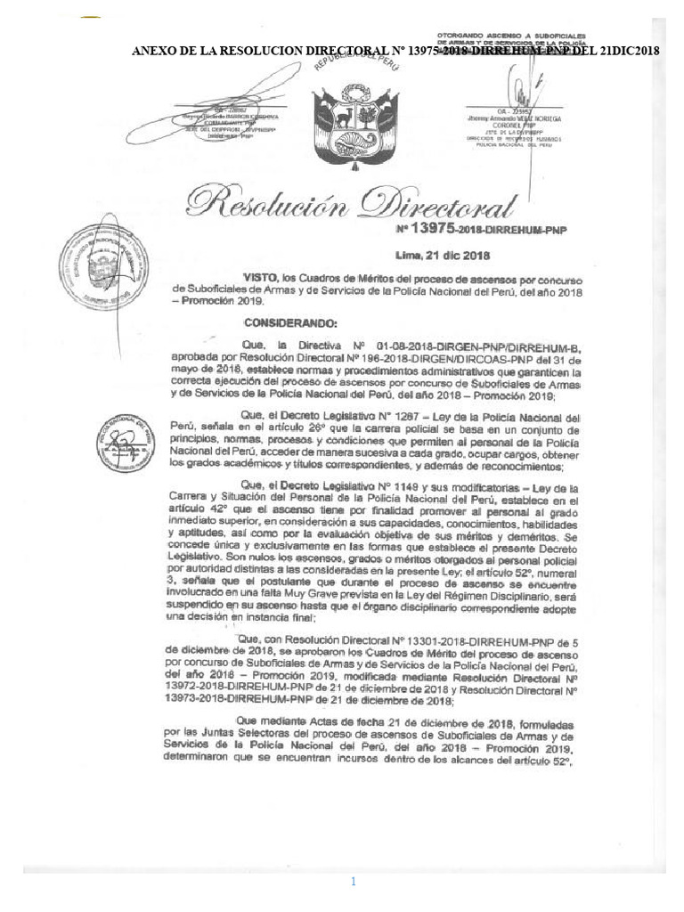 Résolution N° 13975-2018-DIRREHUM-PNP | PDF