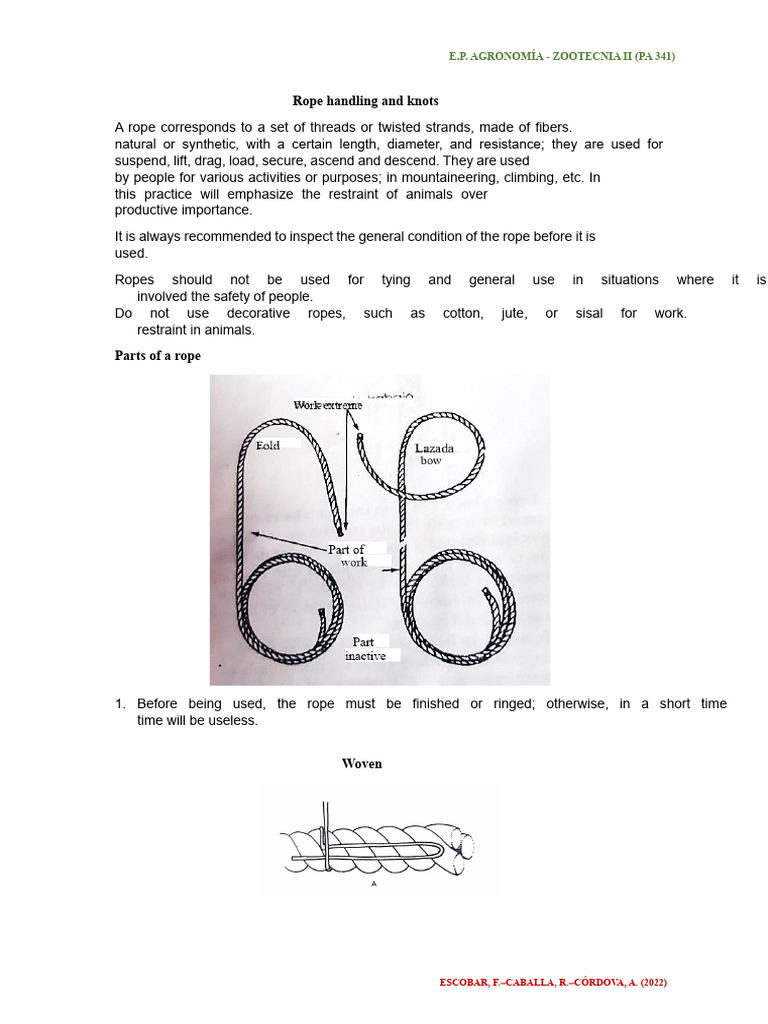 1st practice Rope and knots | PDF | Knot | Rope