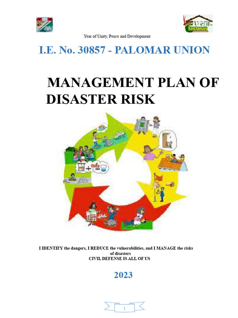 Disaster Risk Management Plan 2023 | PDF | Radiation | Ionizing Radiation