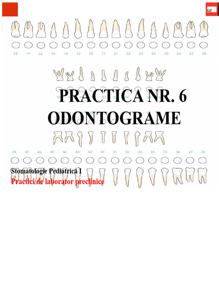 P6 Prezentare Odontograme Ank Spaniol | PDF