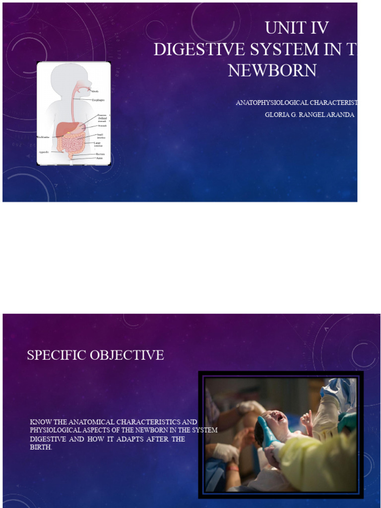 Newborn Digestive System Overview | PDF | Digestion | Human Digestive ...