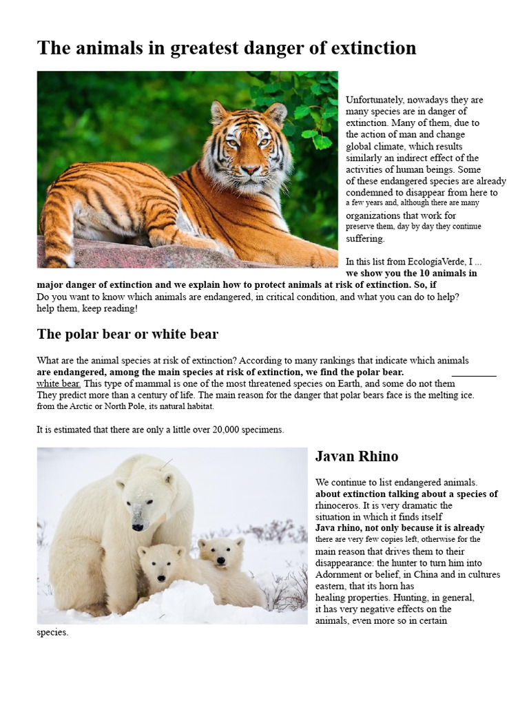 Endangered Animals: Top 10 Species at Risk | PDF | Earthquakes ...