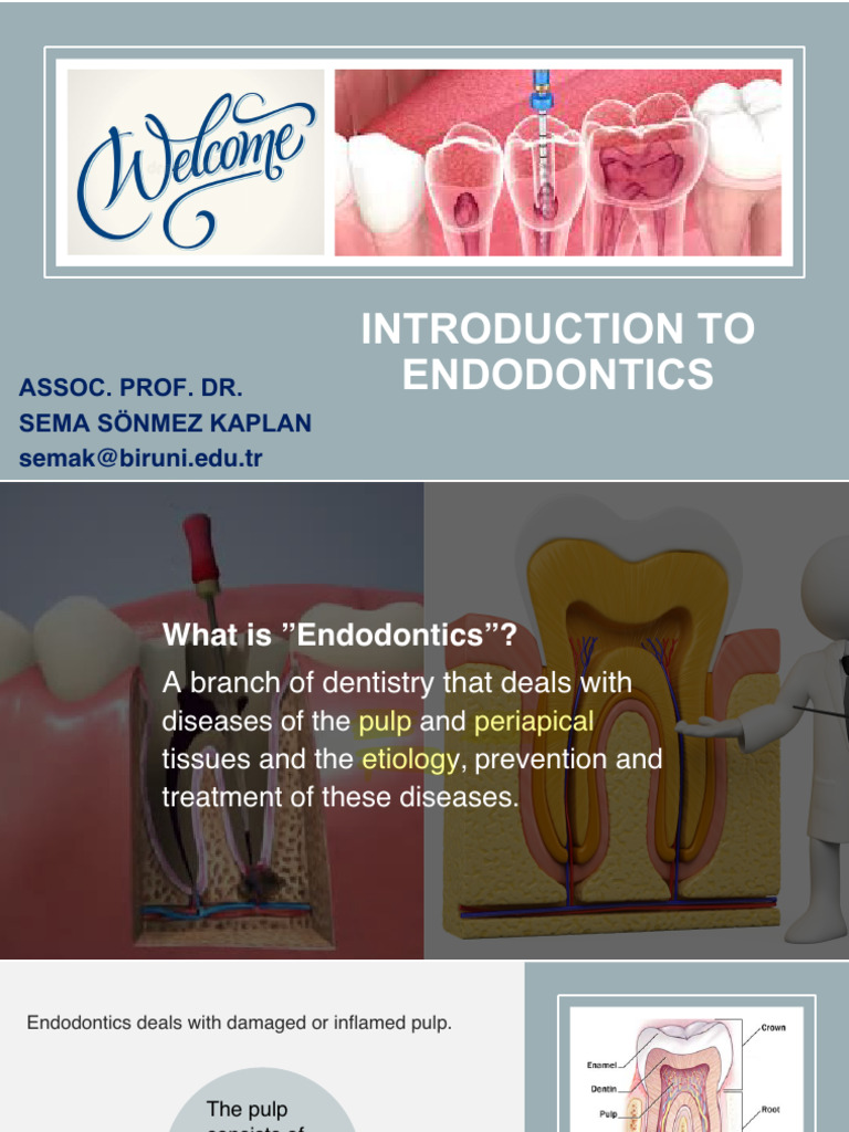 Introduction to Endodontics: Overview | PDF
