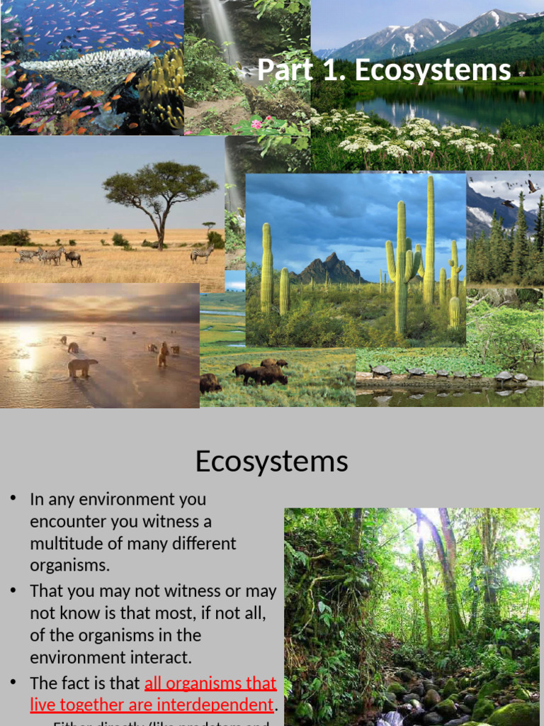 Understanding Ecosystems and Biodiversity | PDF | Ecosystem | Tropics