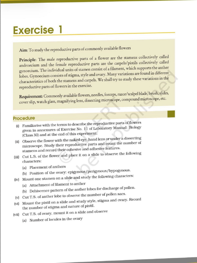Adobe Scan 6 Nov 2025 | PDF
