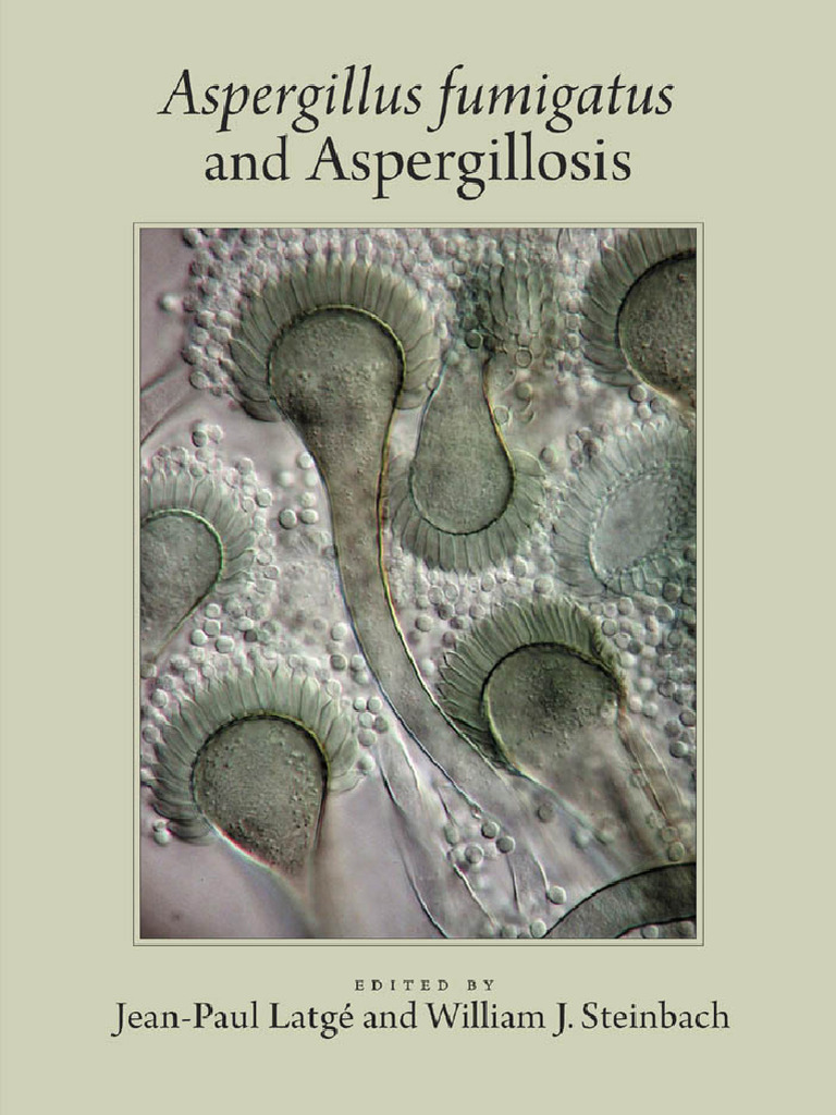 Aspergillus fumigatus and Aspergillosis Overview | PDF | Aspergillus ...