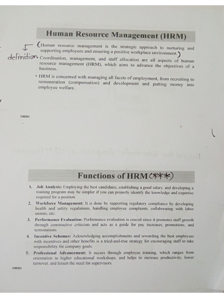 Human Resource Management | PDF