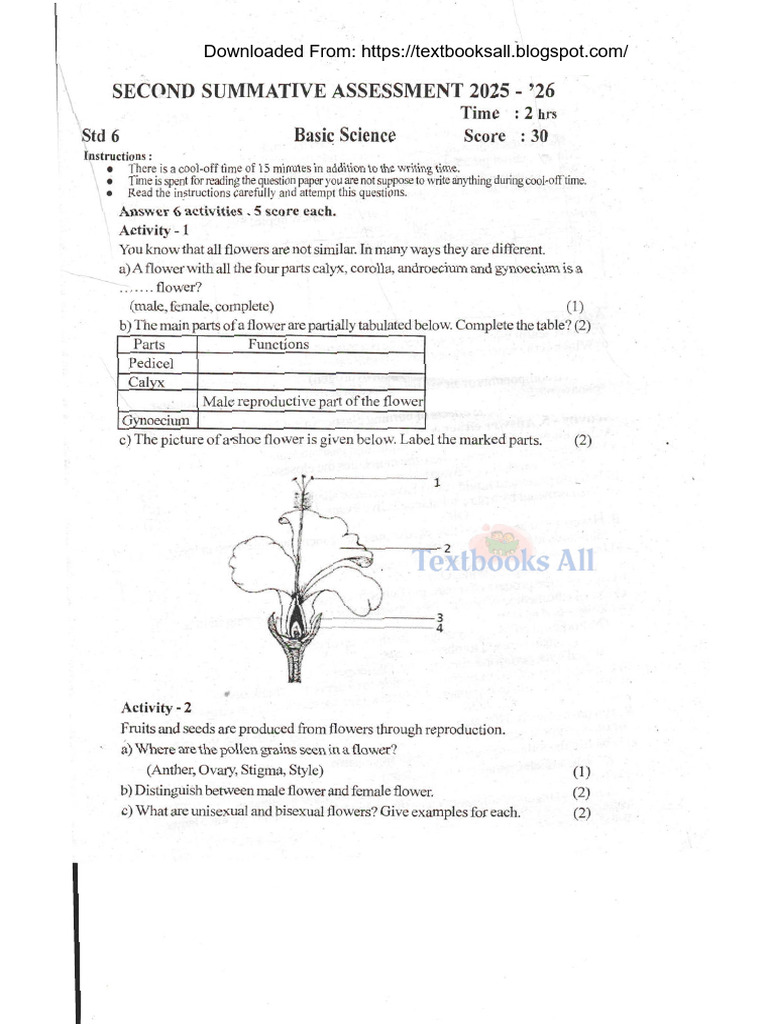 Grade 6 Basic Science Assessment 2025 | PDF | Flowers | Botany