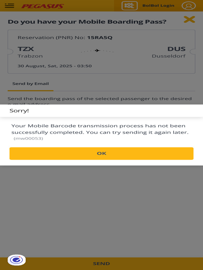 Online Check-in for Pegasus Flights | PDF