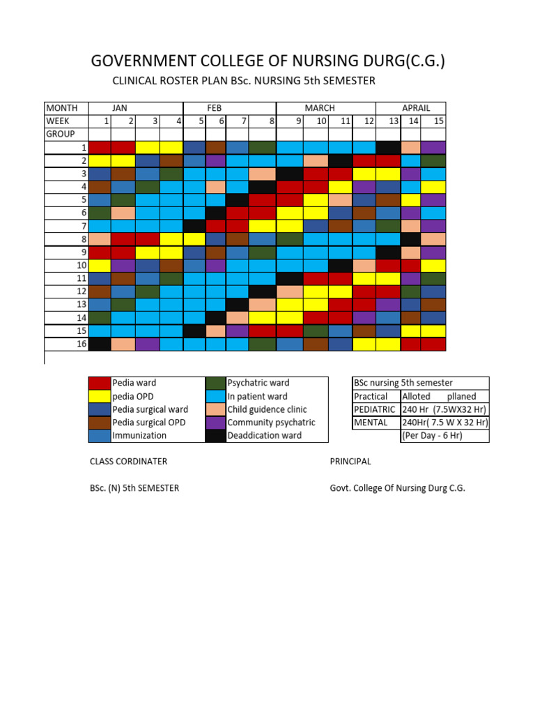 BSc Nursing 5th Semester Clinical Roster | PDF