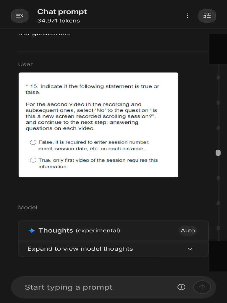 Chat Prompt Guidelines and Tips | PDF