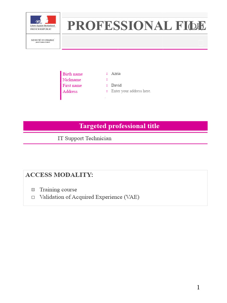 Professional file_FINAL_VERSION2 | PDF | Computer Network | Active ...