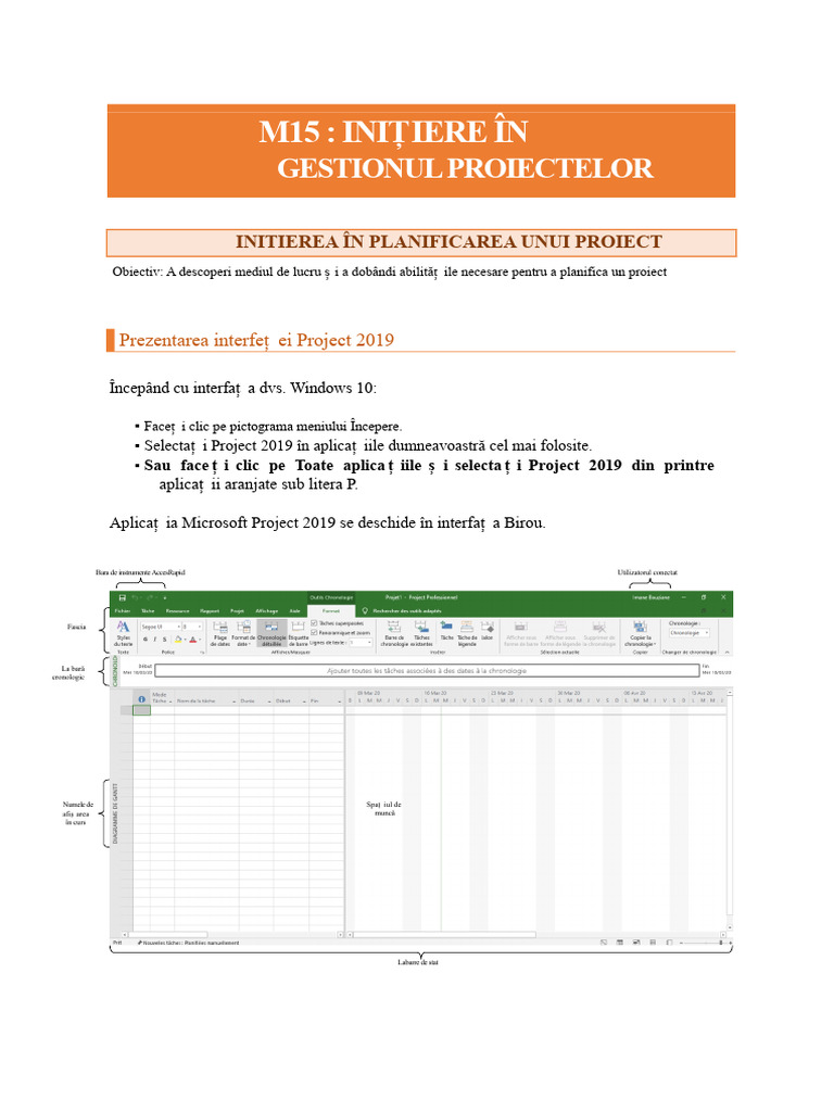 Microsoft Project 2019 | PDF