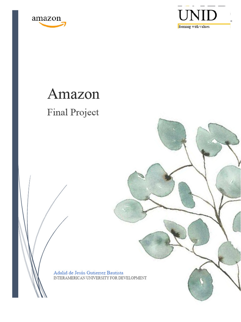 Amazon Business Analysis and Strategy | PDF | Employment | E Commerce