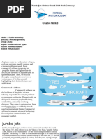 Airframer Cat101 | PDF | Aviation