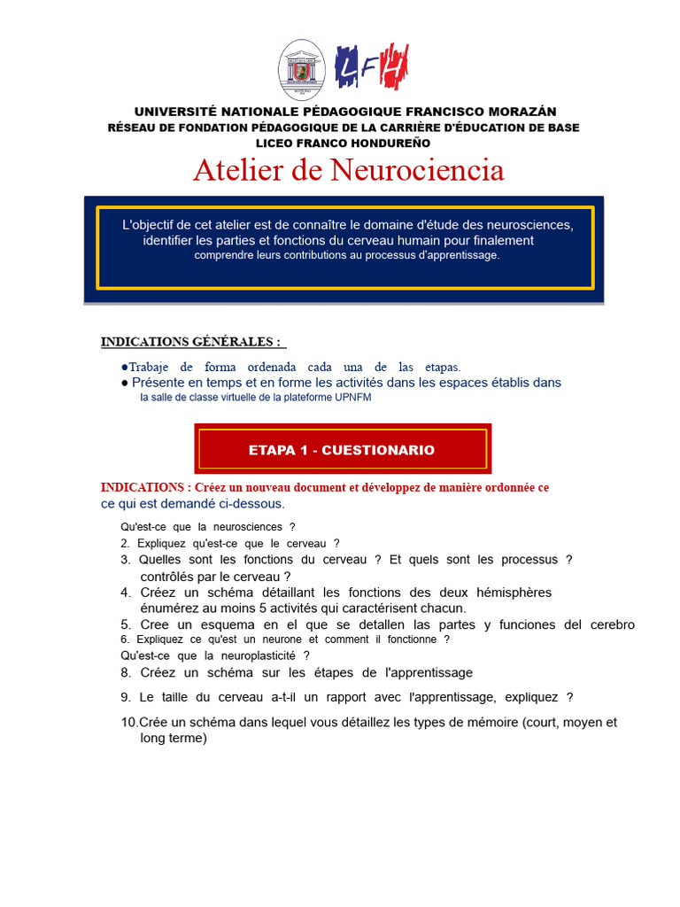 Atelier sur les Neurosciences et Apprentissage | PDF | Cerveau ...
