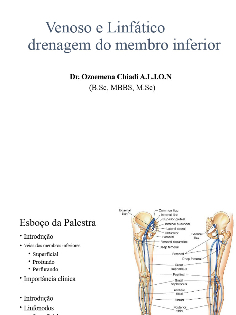 Drenagem Venosa e Linfática do Membro Inferior | PDF | Veia | Sistema ...