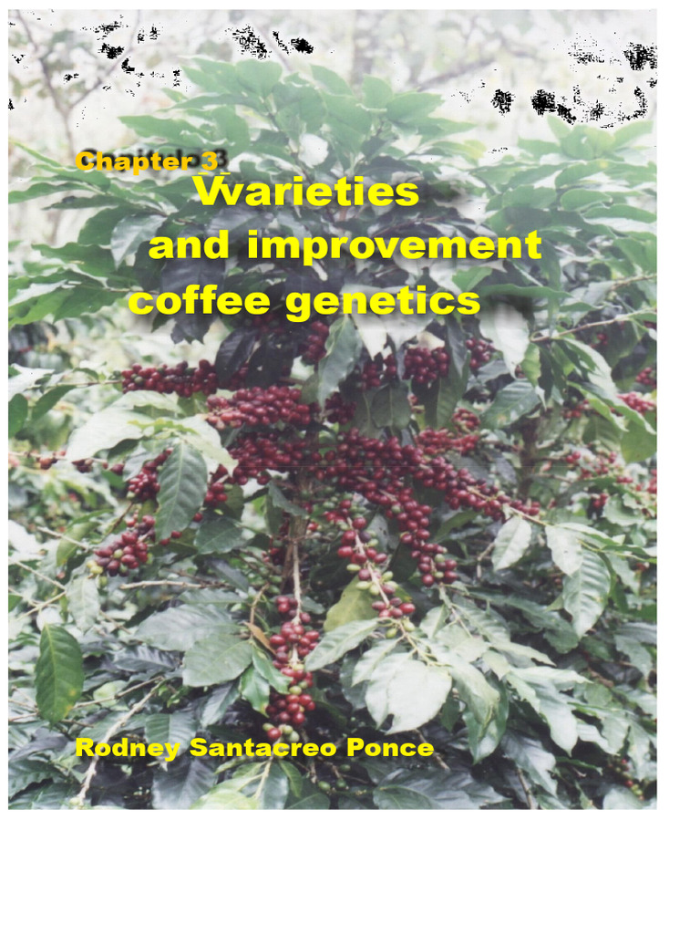 3 Chapter 3 Varieties and Genetic Improvement of Coffee | PDF ...